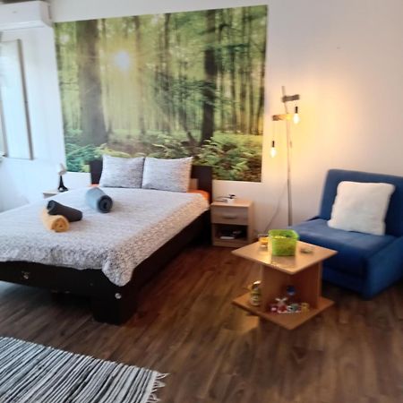 Car Lazar Apartment Beograd Eksteriør bilde