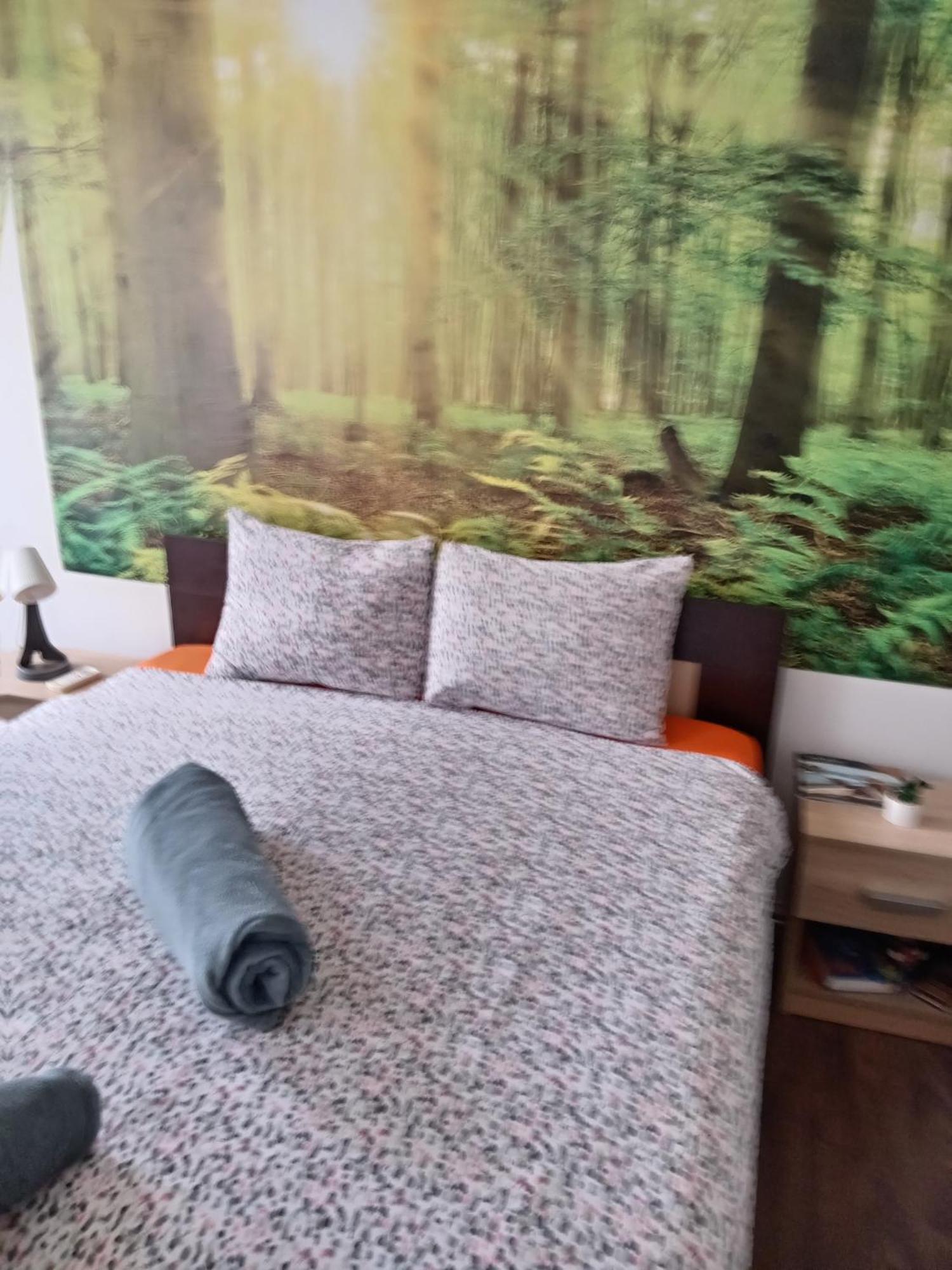 Car Lazar Apartment Beograd Eksteriør bilde